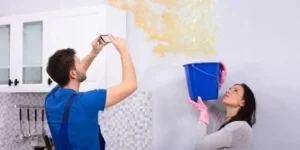 Protecting Your Kitchen From Water Damage and Mold