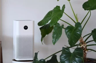 Enhancing Your Home With Smart Air Purifiers